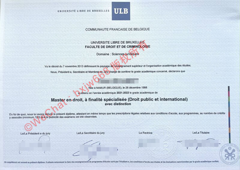 布鲁塞尔自由大学(VUB-Vrije Universiteit Brussel)毕业证样本：高清图片、版式信息与细节解析