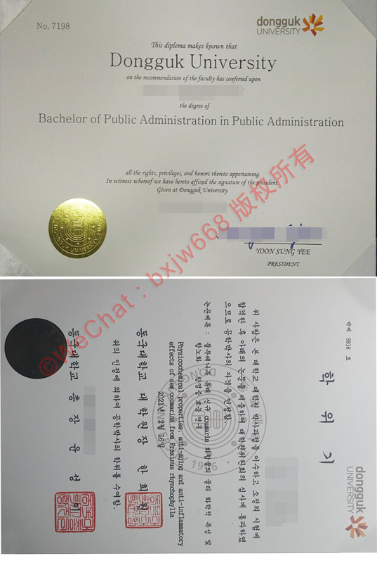 韩国东国大学毕业证书长什么样？高清样本细节与学士/硕士学位证真伪辨别指南