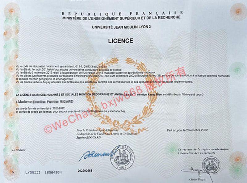 里昂第三大学毕业证(Université Jean Moulin Lyon 3 Diplôme)