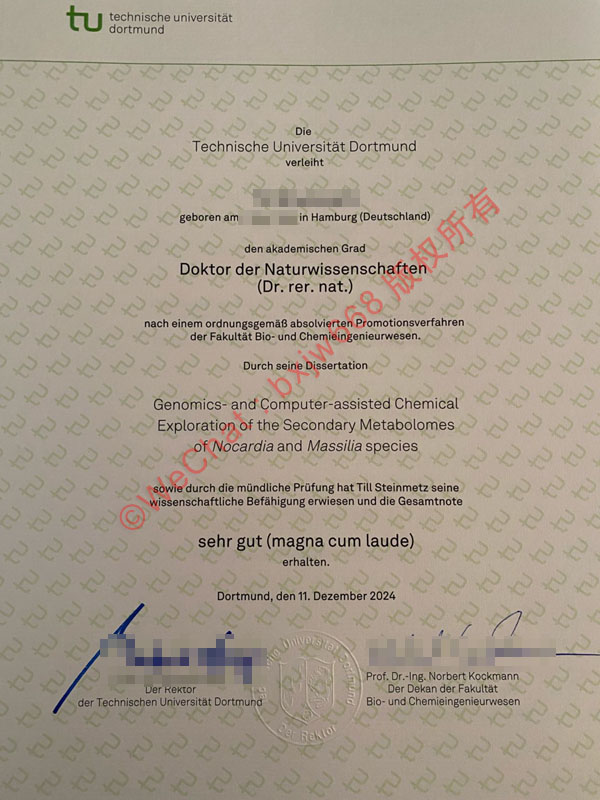 多特蒙德工业大学毕业证(Technische Universität Dortmund diploma)