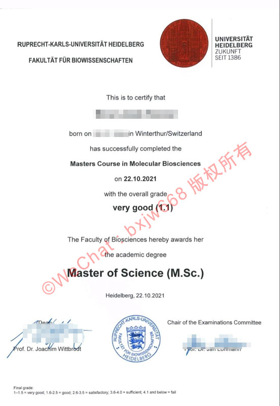海德堡大学毕业证(Heidelberg University diploma)