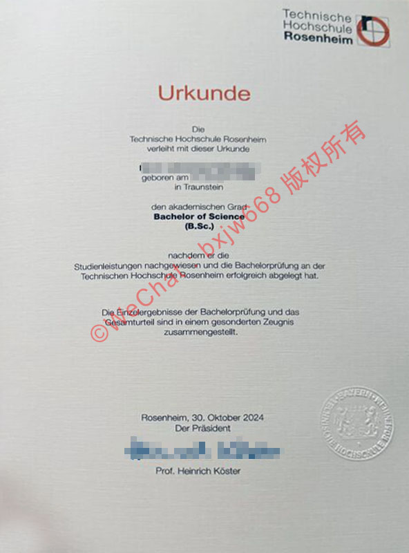 罗森海姆技术大学毕业证(Technische Hochschule Rosenheim diploma)